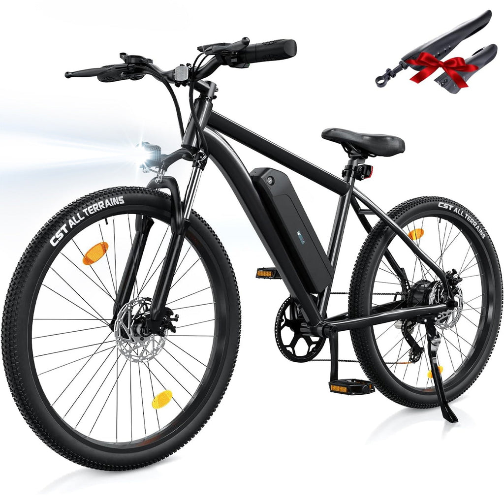iSinwheel EB3 750W Electric Bike E-MTB