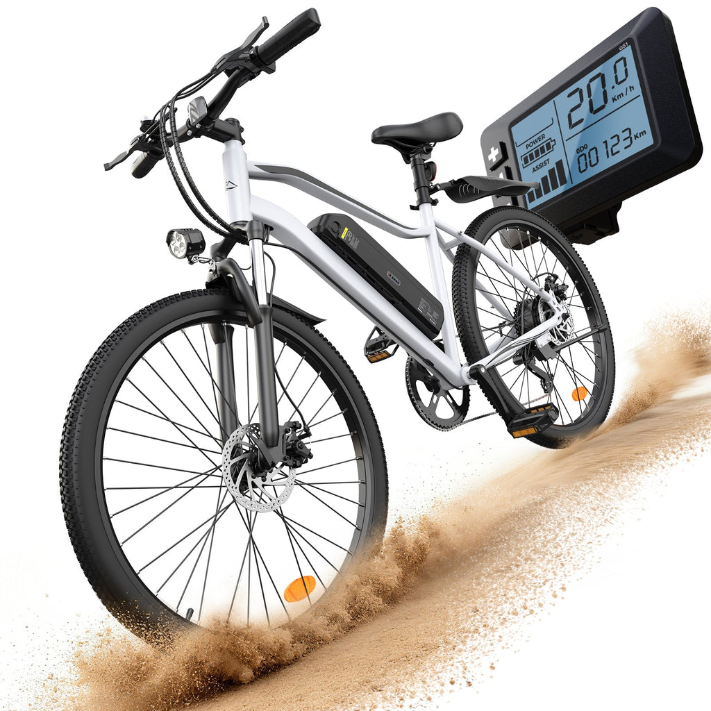 iSinwheel EB3 750W Electric Bike E-MTB