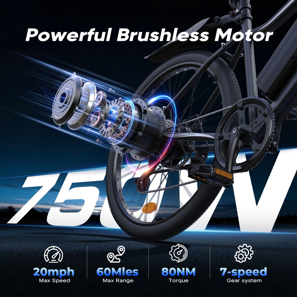 iSinwheel EB3 750W Electric Bike E-MTB