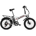 Electric Bike for Adults,750W Folding Electric Bike with 48V 13Ah Removable Battery