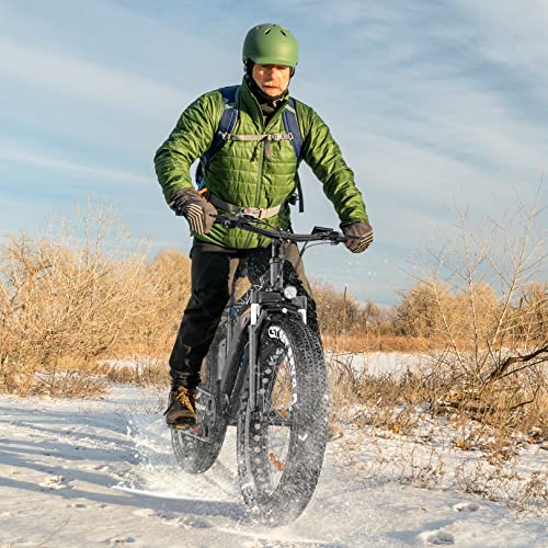 Vivi Electric Bike 26" x 4.0 Fat Tire Electric Bicycle