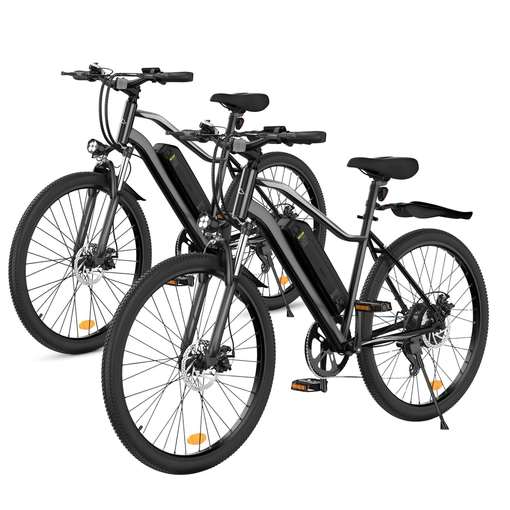 iSinwheel EB3 750W Electric Bike E-MTB