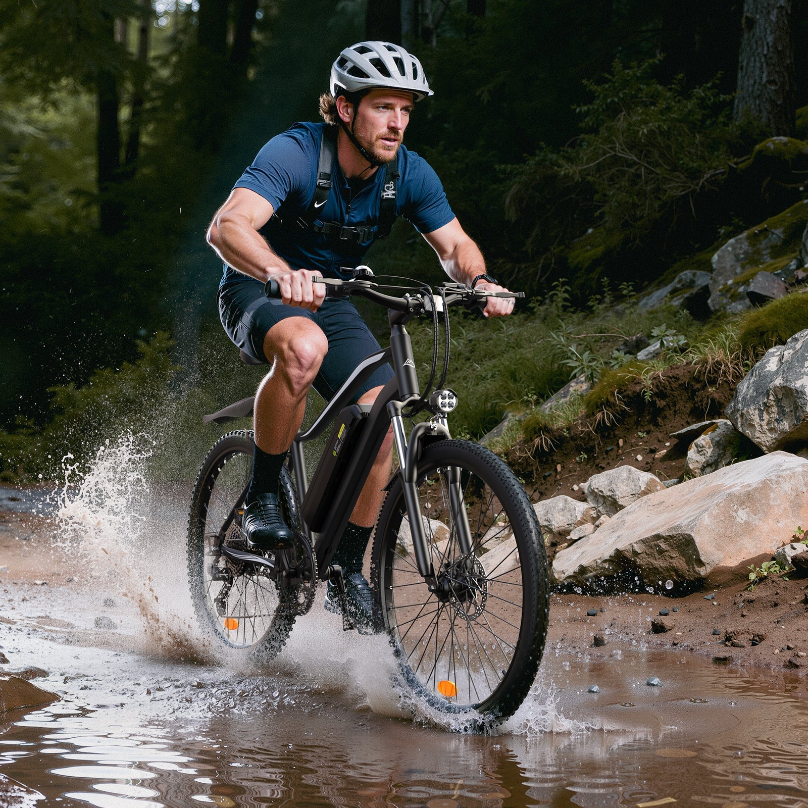 iSinwheel EB3 750W Electric Bike E-MTB