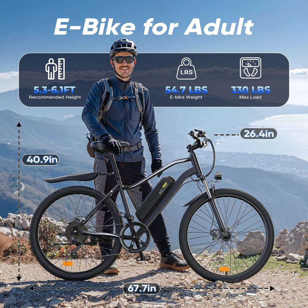 iSinwheel EB3 750W Electric Bike E-MTB