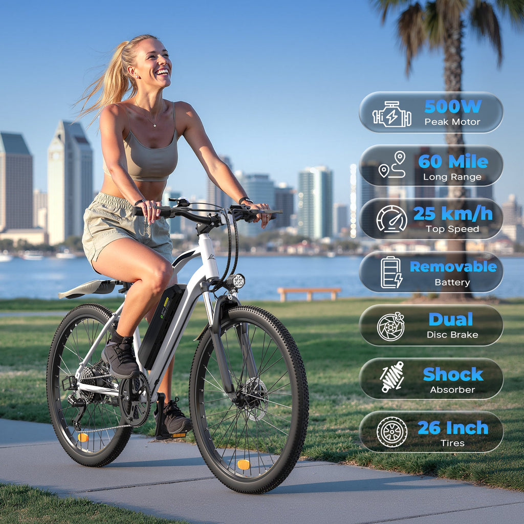 EB3 / M50 Electric Mountain Bike