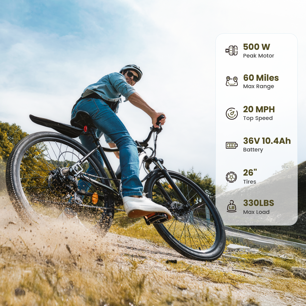 EB3 / M50 Electric Mountain Bike