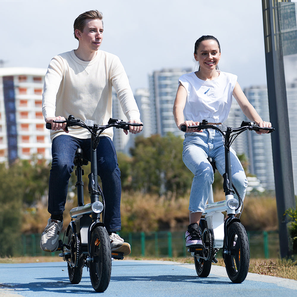 Folding Electric Bike