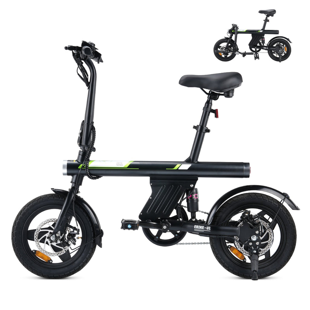 Folding Electric Bike