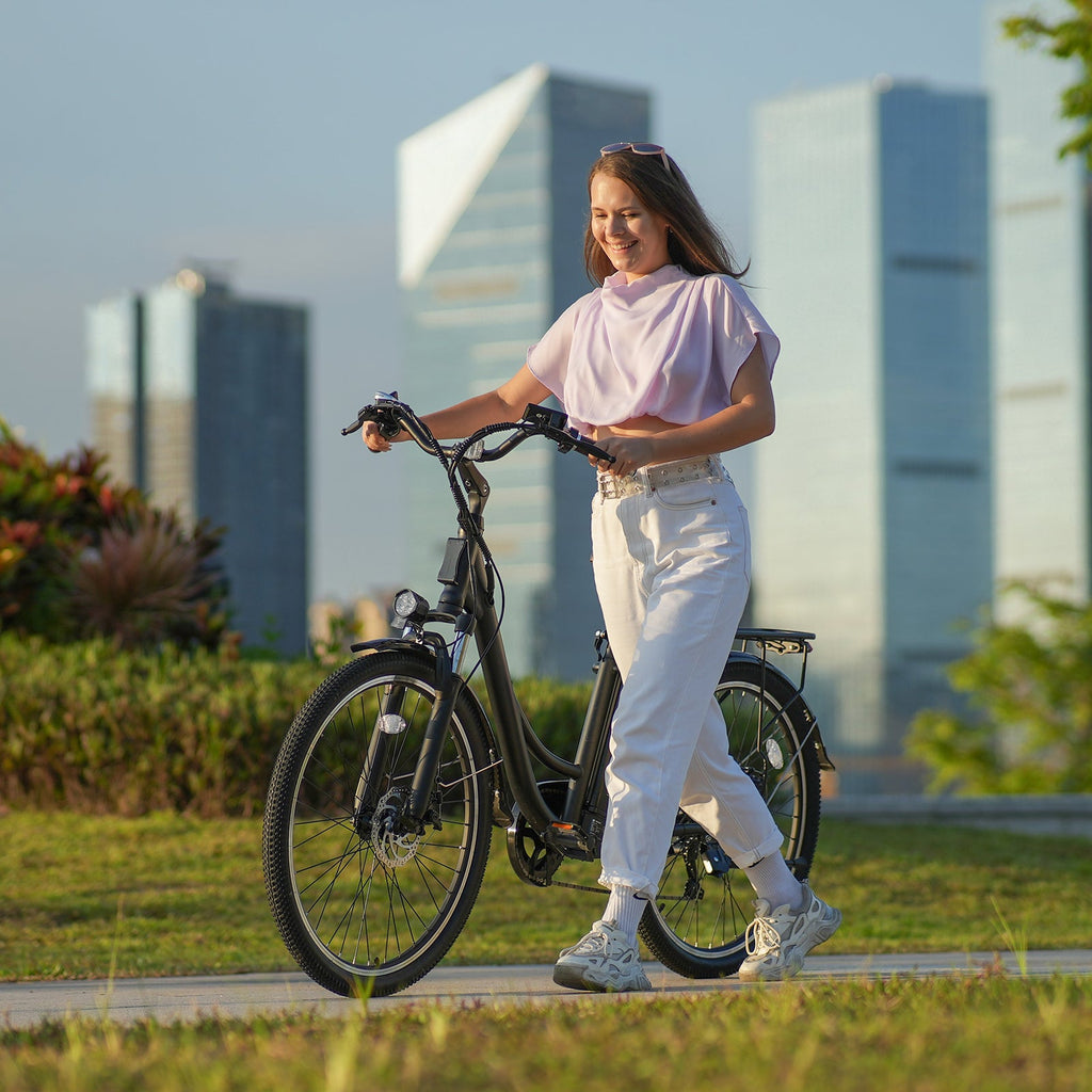 iSinwheel U2/U4 City Commuter Electric Bike 65Miles Range