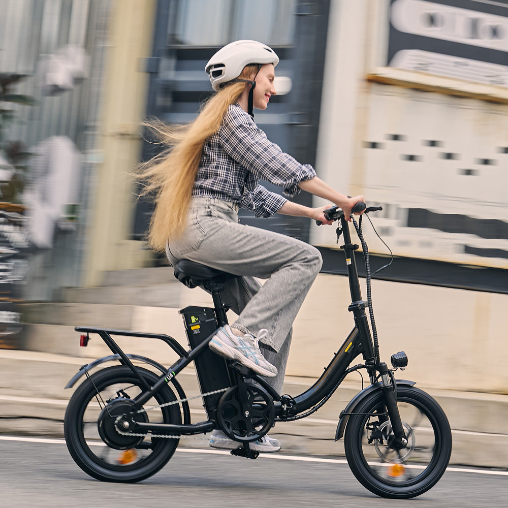 Folding Electric Bike