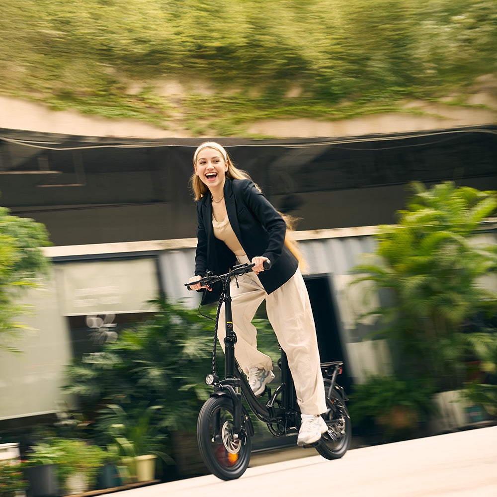Folding Electric Bike